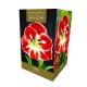 Amaryllis Samba - Indoor Growing Kit