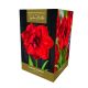 Amaryllis Cherry Nymph – Indoor Growing Kit