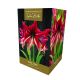 Amaryllis Ruby Star – Indoor Growing Kit