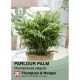 House Plant Seeds - Parlour Palm