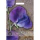 Kew Flower House - Sweet Pea Lathyrus King Size Royal Navy Dark Blue