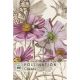 Kew Pollinators - Cosmos