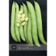 Kew VegeTable - Bean Broad Luz de Otono