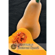 Kew VegeTable - Squash Winter Butternut Hunter F1
