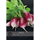 Kew VegeTable - Radish Diana