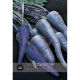 Kew VegeTable - Carrot Purple Sun