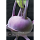Kew VegeTable - Kohl Rabi Kolibri F1 Hybrid