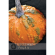 Kew VegeTable - Pumpkin Zombie