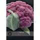 Kew VegeTable - Cauliflower DePurple F1
