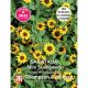 Sanvitalia Procumbens (Mini Sunflowers) Yellow with Black Eye