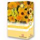 Scatter Pack - Summer Flowers Colour Theme | Sunshiny Yellow