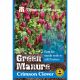 Green Manure - Clover Crimson