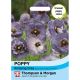 Poppy Amazing Grey