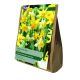 Narcissi Species Mixed (Value Bag of 25)