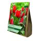 Tulip Julius Caesar (Value Bag of 20)