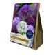 Garden Greats Allium Bulb Collection