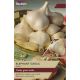 Elephant Garlic