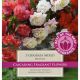 Begonia Odorata Mixed (Best of the Best Fragrance)