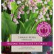 Convallaria Majalis Rosea (Best of the Best Fragrance)