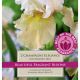 Iris Champagne Elegance (Best of the Best Fragrance)