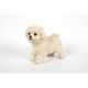 Bichon Frise Standing 26x13x24cm
