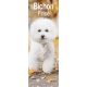 Bichon Frise 2025 Slim Calendar