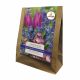 Colour Blends Blue Shades Collection (Value Bag of 40 Bulbs)