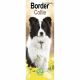 Border Collie 2023 Slim Calendar