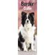 Border Collie 2025 Slim Calendar
