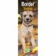 Border Terrier 2023 Slim Calendar