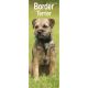 Border Terrier 2025 Slim Calendar