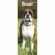 Boxer 2023 Slim Calendar