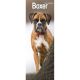 Boxer 2024 Slim Calendar