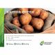 2kg British Queen Seed Potatoes