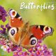 Butterflies 2024 Wall Calendar