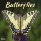 Butterflies 2025 Wall Calendar