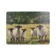 Creative Tops Placemants - Sheep (Pack of 6)