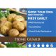 2kg Home Guard Seed Potatoes