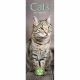 Cats 2023 Slim Calendar