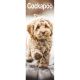 Cockapoo 2024 Slim Calendar