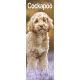 Cockapoo 2025 Slim Calendar