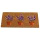 Décoir Coir Door Mat Lavenders 45x75cm