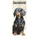Dachshund 2024 Slim Calendar