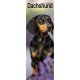 Dachshund 2025 Slim Calendar