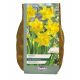 Narcissus Tamara 1.5kg Carripack