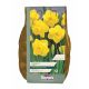 Narcissi Camelot 1.5kg Value Carripack