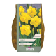 Narcissi Camelot 2kg Carripack