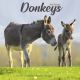 Donkeys 2025 Wall Calendar
