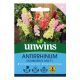 Antirrhinum Doubleshot Mix