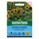 Sunflower Pradera Gold